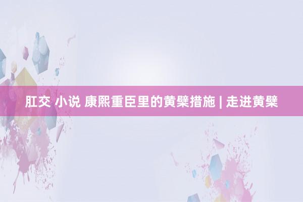 肛交 小说 康熙重臣里的黄檗措施 | 走进黄檗