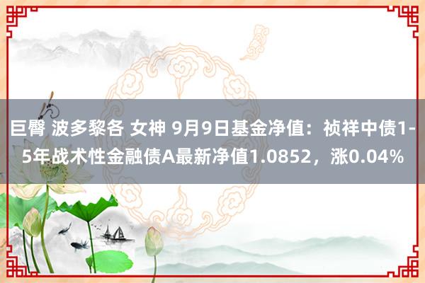 巨臀 波多黎各 女神 9月9日基金净值：祯祥中债1-5年战术性金融债A最新净值1.0852，涨0.04%