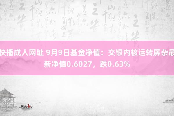 快播成人网址 9月9日基金净值：交银内核运转羼杂最新净值0.6027，跌0.63%