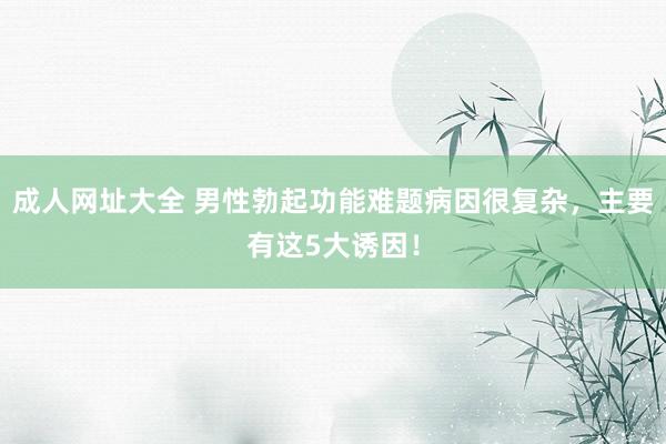 成人网址大全 男性勃起功能难题病因很复杂，主要有这5大诱因！