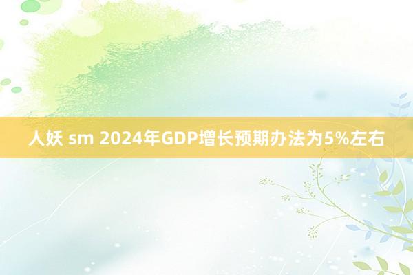 人妖 sm 2024年GDP增长预期办法为5%左右