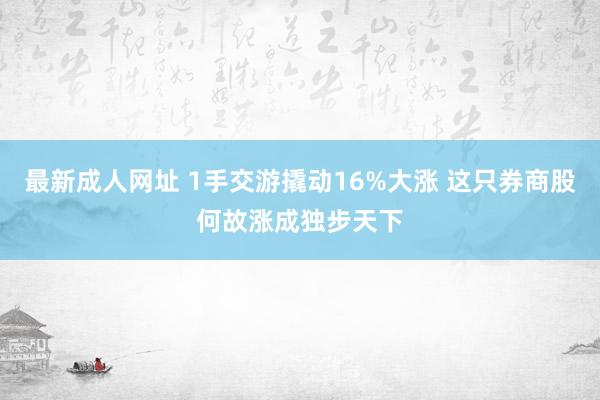 最新成人网址 1手交游撬动16%大涨 这只券商股何故涨成独步天下