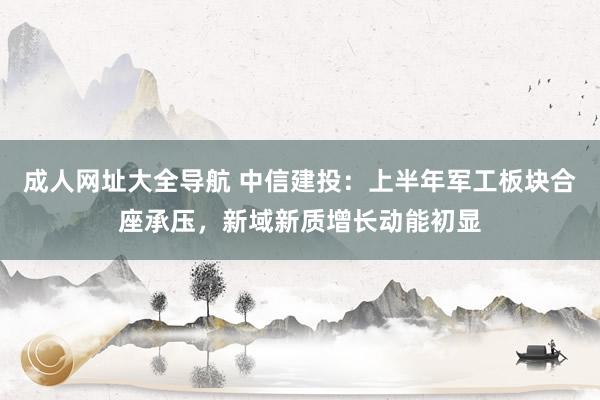 成人网址大全导航 中信建投：上半年军工板块合座承压，新域新质增长动能初显