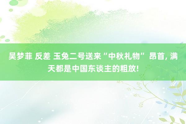 吴梦菲 反差 玉兔二号送来“中秋礼物” 昂首， 满天都是中国东谈主的粗放!