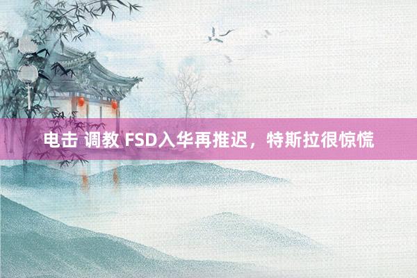 电击 调教 FSD入华再推迟，特斯拉很惊慌