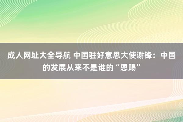 成人网址大全导航 中国驻好意思大使谢锋：中国的发展从来不是谁的“恩赐”