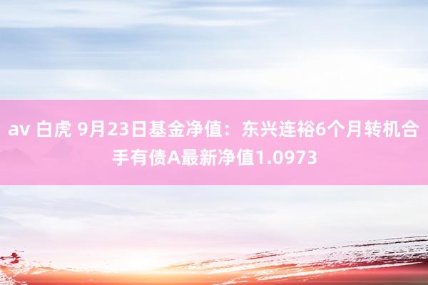 av 白虎 9月23日基金净值：东兴连裕6个月转机合手有债A最新净值1.0973