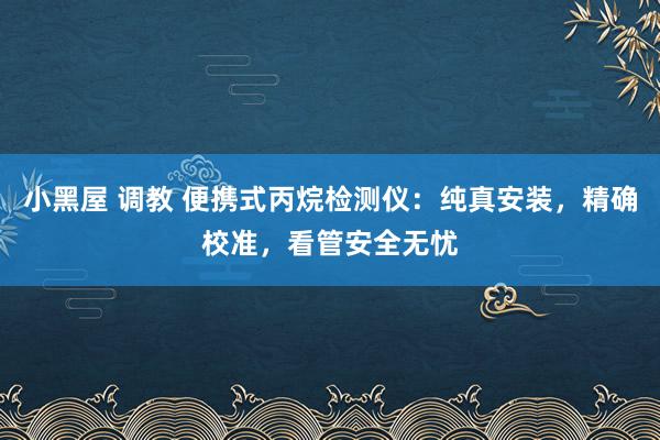 小黑屋 调教 便携式丙烷检测仪：纯真安装，精确校准，看管安全无忧