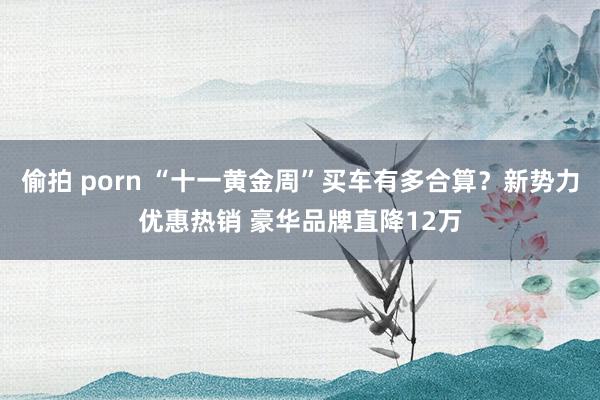 偷拍 porn “十一黄金周”买车有多合算？新势力优惠热销 豪华品牌直降12万