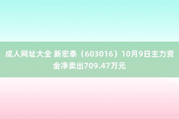 成人网址大全 新宏泰（603016）10月9日主力资金净卖出709.47万元