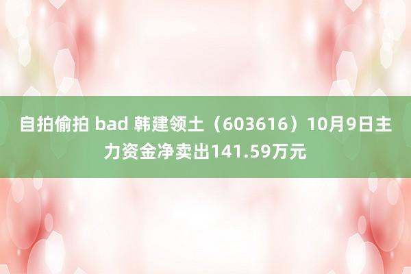 自拍偷拍 bad 韩建领土（603616）10月9日主力资金净卖出141.59万元