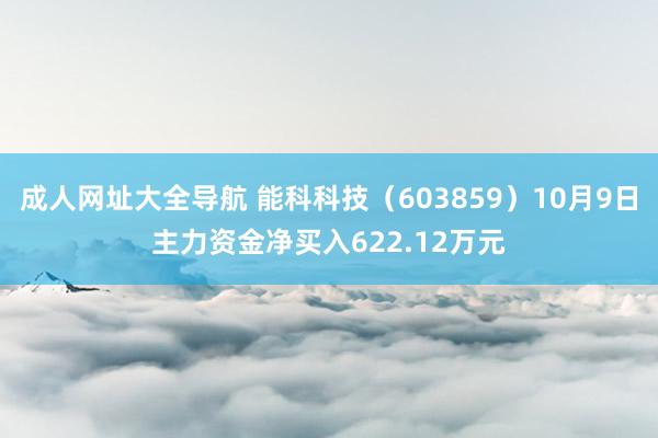 成人网址大全导航 能科科技（603859）10月9日主力资金净买入622.12万元