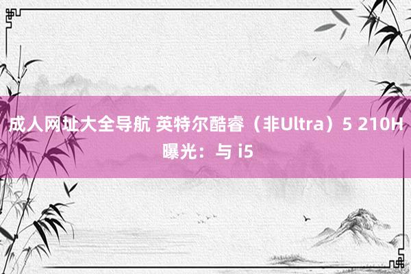 成人网址大全导航 英特尔酷睿（非Ultra）5 210H 曝光：与 i5