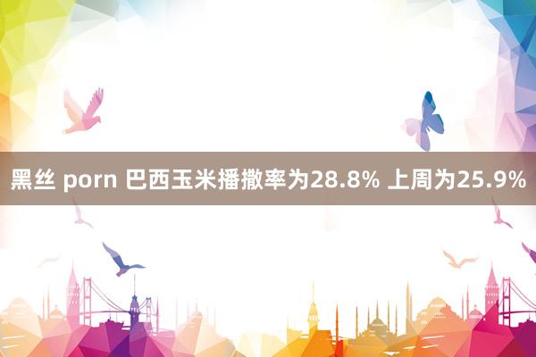 黑丝 porn 巴西玉米播撒率为28.8% 上周为25.9%