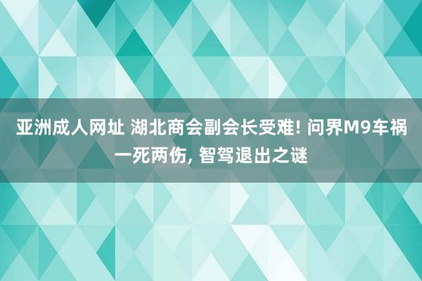 亚洲成人网址 湖北商会副会长受难! 问界M9车祸一死两伤， 智驾退出之谜