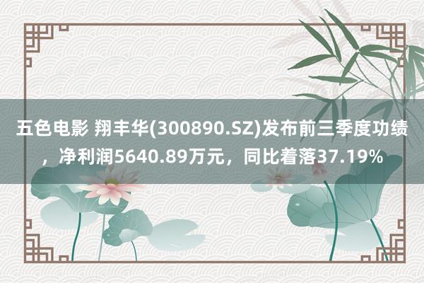 五色电影 翔丰华(300890.SZ)发布前三季度功绩，净利润5640.89万元，同比着落37.19%