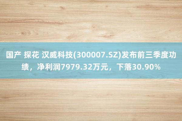 国产 探花 汉威科技(300007.SZ)发布前三季度功绩，净利润7979.32万元，下落30.90%