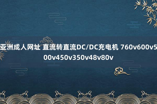 亚洲成人网址 直流转直流DC/DC充电机 760v600v500v450v350v48v80v