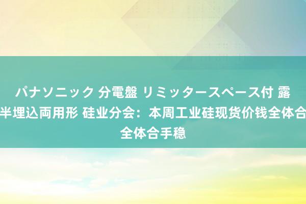 パナソニック 分電盤 リミッタースペース付 露出・半埋込両用形 硅业分会：本周工业硅现货价钱全体合手稳