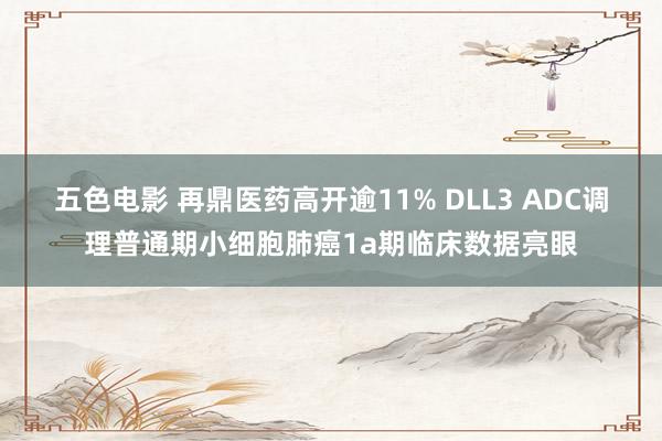 五色电影 再鼎医药高开逾11% DLL3 ADC调理普通期小细胞肺癌1a期临床数据亮眼