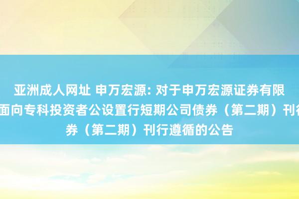 亚洲成人网址 申万宏源: 对于申万宏源证券有限公司2024年面向专科投资者公设置行短期公司债券（第二期）刊行遵循的公告