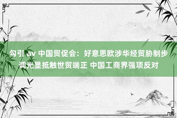 勾引 av 中国贸促会：好意思欧涉华经贸胁制步调光显抵触世贸端正 中国工商界强项反对