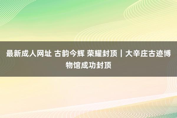 最新成人网址 古韵今辉 荣耀封顶｜大辛庄古迹博物馆成功封顶