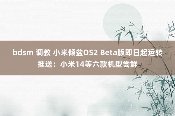 bdsm 调教 小米倾盆OS2 Beta版即日起运转推送：小米14等六款机型尝鲜