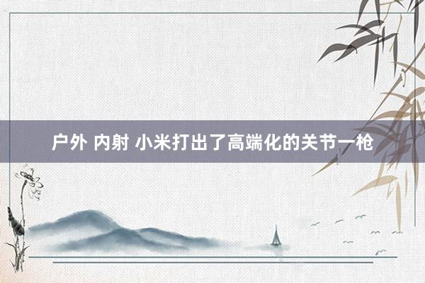 户外 内射 小米打出了高端化的关节一枪