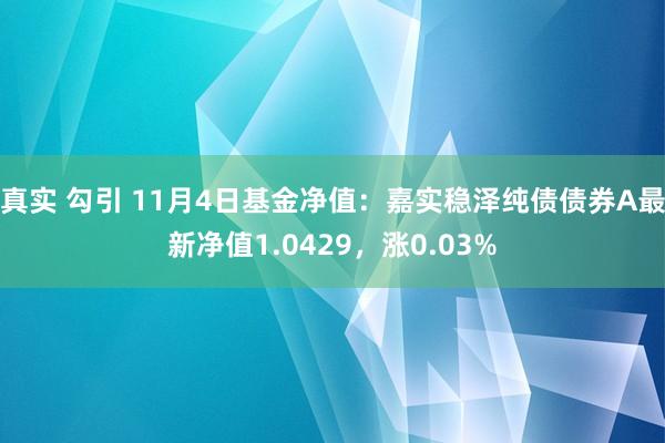 真实 勾引 11月4日基金净值：嘉实稳泽纯债债券A最新净值1.0429，涨0.03%