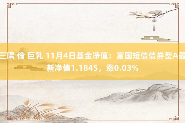 三隅 倫 巨乳 11月4日基金净值：富国短债债券型A最新净值1.1845，涨0.03%