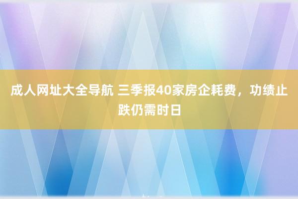 成人网址大全导航 三季报40家房企耗费，功绩止跌仍需时日