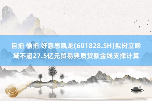 自拍 偷拍 好意思凯龙(601828.SH)拟树立畛域不超27.5亿元贸易典质贷款金钱支撑计算