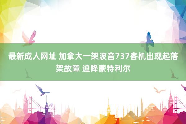 最新成人网址 加拿大一架波音737客机出现起落架故障 迫降蒙特利尔