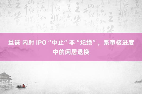 丝袜 内射 IPO“中止”非“圮绝”，系审核进度中的闲居退换