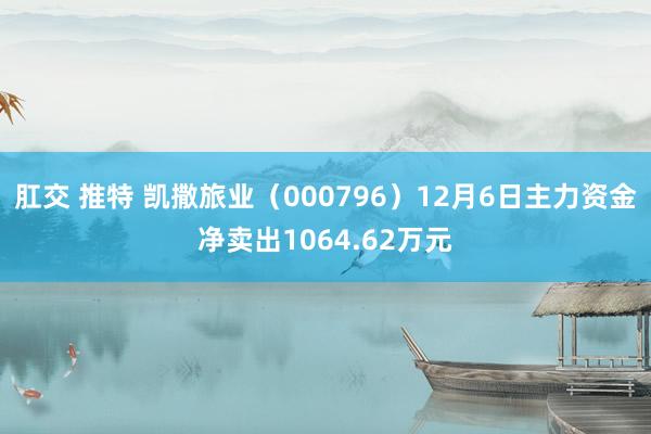 肛交 推特 凯撒旅业（000796）12月6日主力资金净卖出1064.62万元