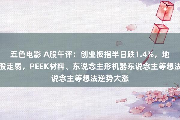 五色电影 A股午评：创业板指半日跌1.4%，地产、电商股走弱，PEEK材料、东说念主形机器东说念主等想法逆势大涨