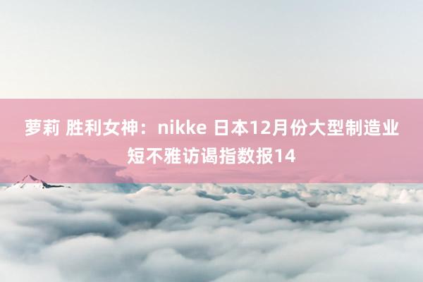 萝莉 胜利女神：nikke 日本12月份大型制造业短不雅访谒指数报14