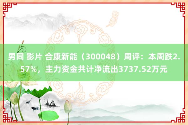 男同 影片 合康新能（300048）周评：本周跌2.57%，主力资金共计净流出3737.52万元