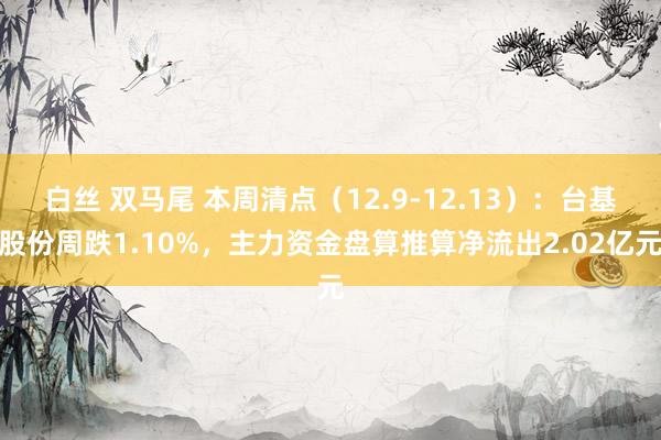 白丝 双马尾 本周清点（12.9-12.13）：台基股份周跌1.10%，主力资金盘算推算净流出2.02亿元