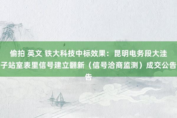 偷拍 英文 铁大科技中标效果：昆明电务段大洼子站室表里信号建立翻新（信号洽商监测）成交公告