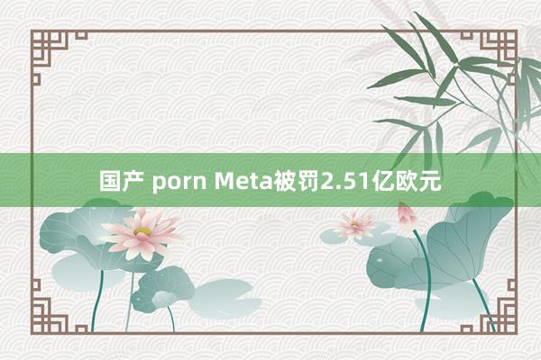 国产 porn Meta被罚2.51亿欧元