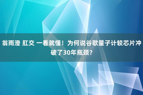 翁雨澄 肛交 一看就懂！为何说谷歌量子计较芯片冲破了30年瓶颈？