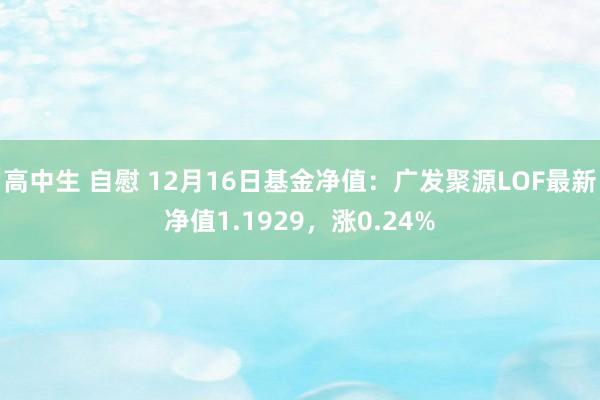 高中生 自慰 12月16日基金净值：广发聚源LOF最新净值1.1929，涨0.24%