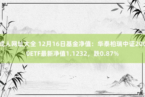 成人网址大全 12月16日基金净值：华泰柏瑞中证2000ETF最新净值1.1232，跌0.87%