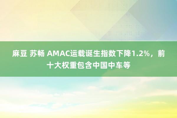 麻豆 苏畅 AMAC运载诞生指数下降1.2%，前十大权重包含中国中车等