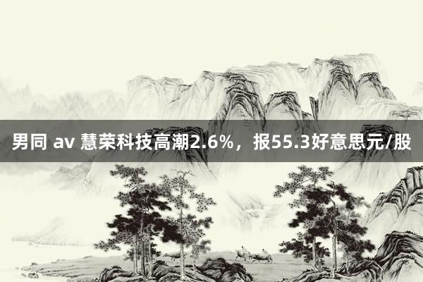 男同 av 慧荣科技高潮2.6%，报55.3好意思元/股