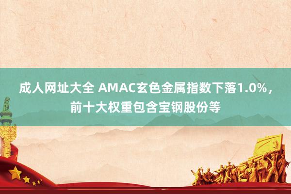 成人网址大全 AMAC玄色金属指数下落1.0%，前十大权重包含宝钢股份等