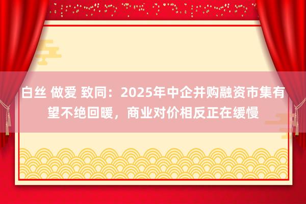 白丝 做爱 致同：2025年中企并购融资市集有望不绝回暖，商业对价相反正在缓慢