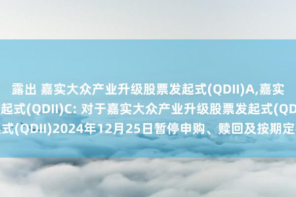 露出 嘉实大众产业升级股票发起式(QDII)A，嘉实大众产业升级股票发起式(QDII)C: 对于嘉实大众产业升级股票发起式(QDII)2024年12月25日暂停申购、赎回及按期定额投资业务的公告